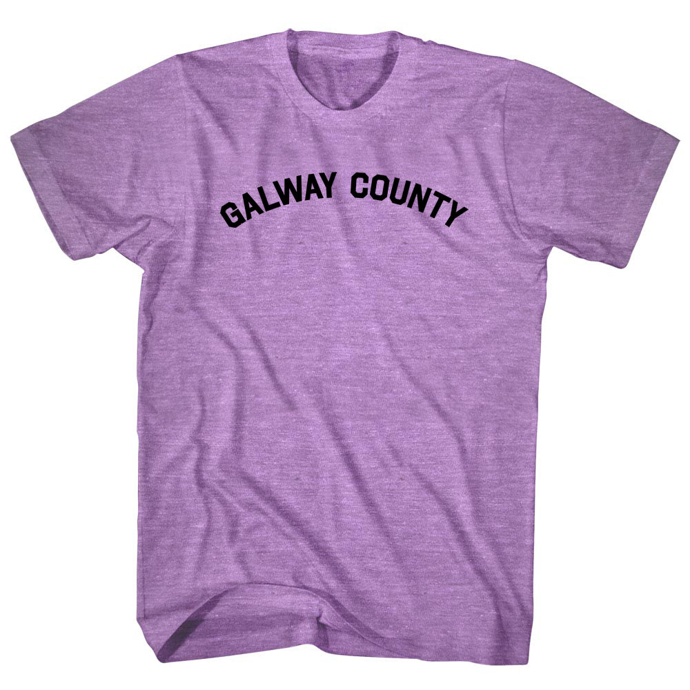 Galway County Men's Tri-Blend T-shirt product image 1